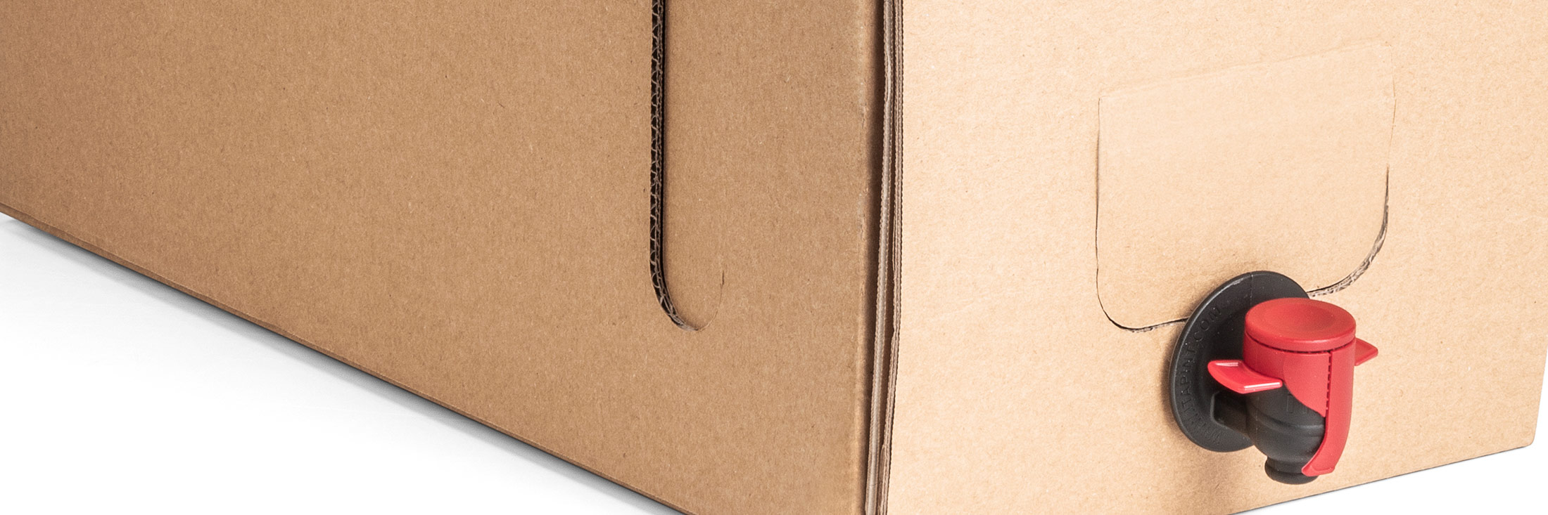 Wellpappe Bag in Box